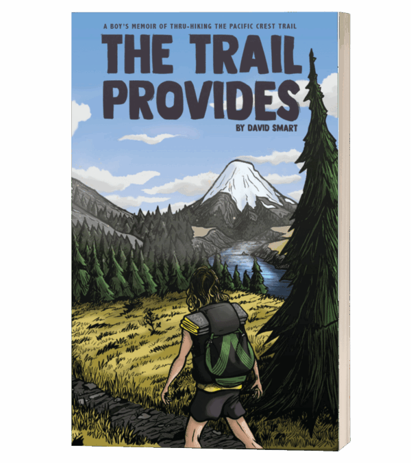the trail provides by david smart paperback 3d cover