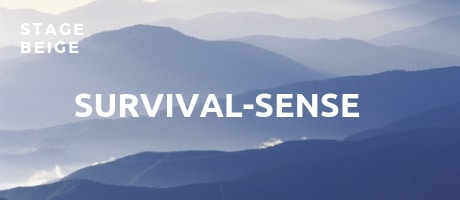 stage beige survivalsense spiral dynamics