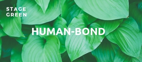 stage green humanbond spiral dynamics