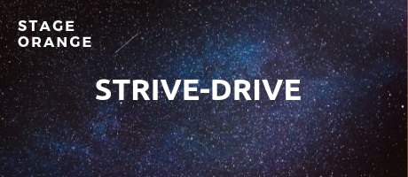 stage orange strivedrive spiral dynamics