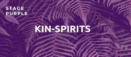 stage purple kinspirits spiral dynamics