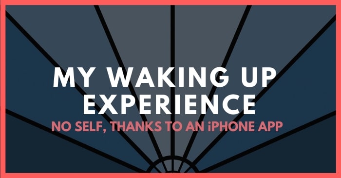 my waking up experience app review sam harris
